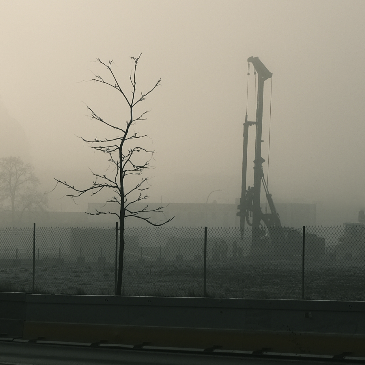 Image shot on a foggy morning