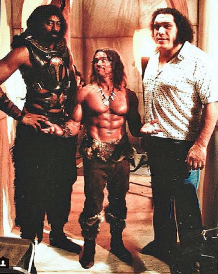 An image of Wilt Chamberlain and Andre the Giant standing next to Arnold Schwarzenegger